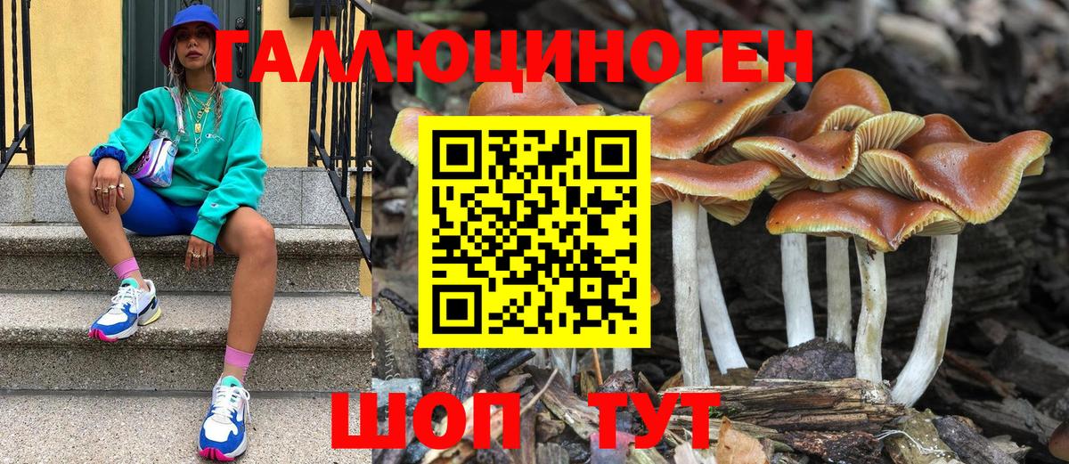 Псилоцибиновые грибы мицелий Хабаровск