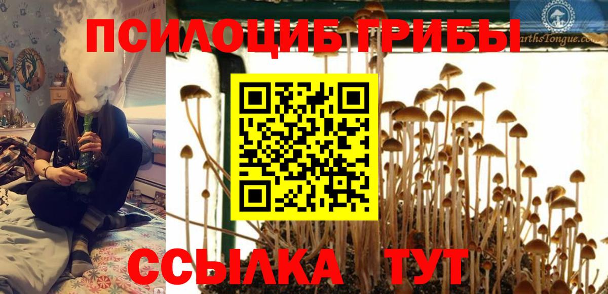 Галлюциногенные грибы Psilocybine cubensis  Вход с VPN  Хабаровск  Псилоцибиновые грибы Cubensis 